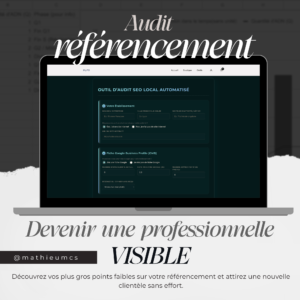 Audit Référencement